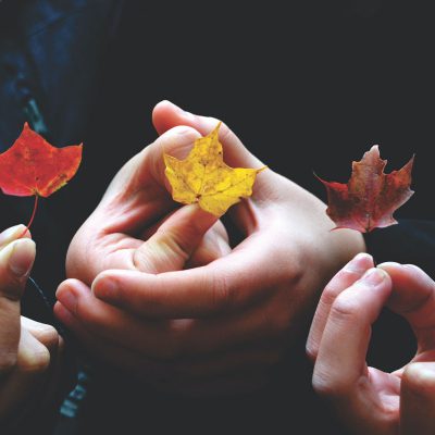 Mains de plusieurs personnes tenant des feuilles aux couleurs de l'automne